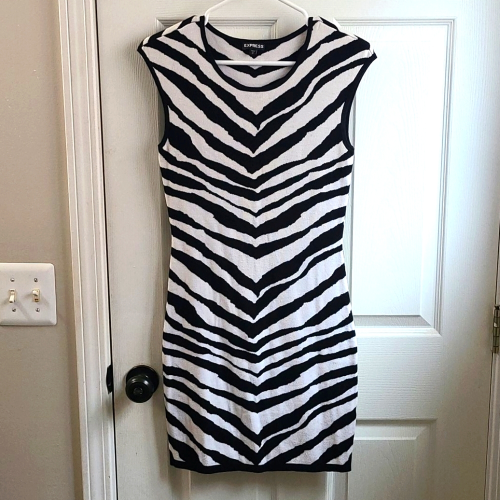 Express sweater dress